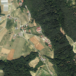 Glojach map(satellite map)