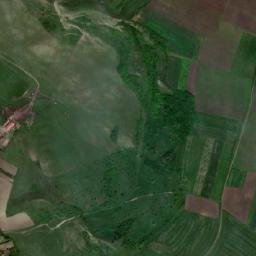 Miceştii de Câmpie map(satellite map)