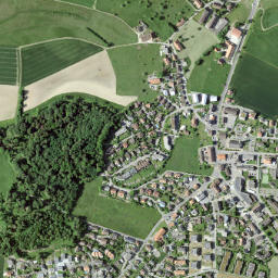 Schmitten map(satellite map)