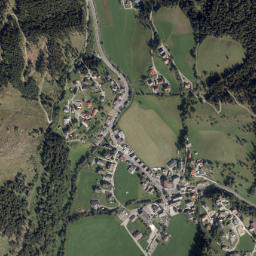 Reichenau map(satellite map)