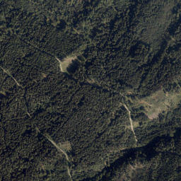 Spittal an der Drau District map(satellite map)