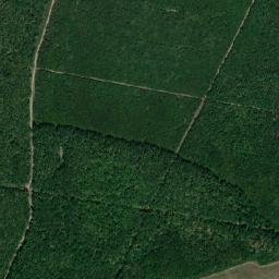 Comuna Husasău de Tinca map(satellite map)