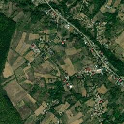 Brădicești map(satellite map)