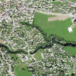Flims map(satellite map)