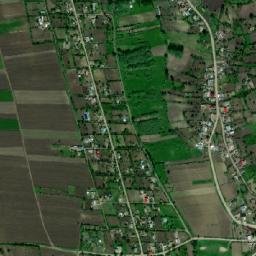 Buneşti map(satellite map)