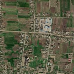 Novovasylivka map(satellite map)