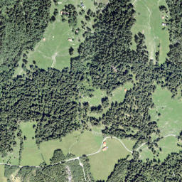 Region Plessur map(satellite map)