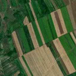 Vultureşti map(satellite map)