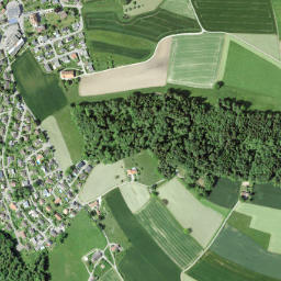 Tafers map(satellite map)