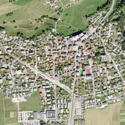 Bonaduz map(satellite map)