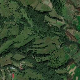 Bicașu map(satellite map)