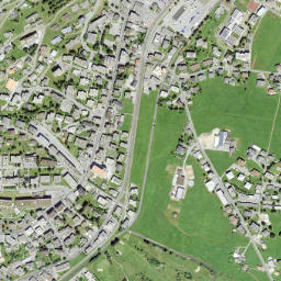 Davos map(satellite map)
