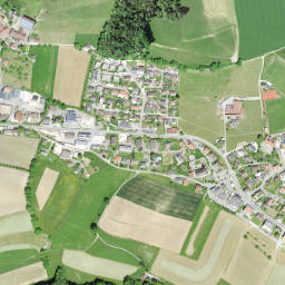 Alterswil map(satellite map)