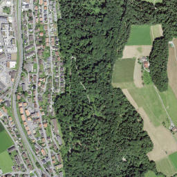 Heimberg map(satellite map)