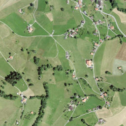 Burgistein map(satellite map)