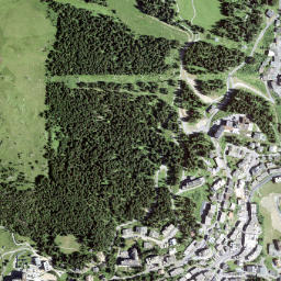 Arosa map(satellite map)