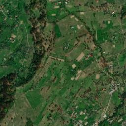 Uricea map(satellite map)
