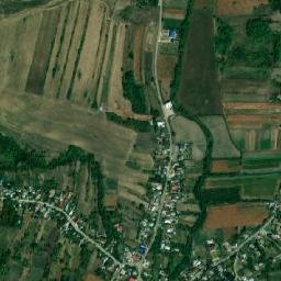 Siliștea map(satellite map)