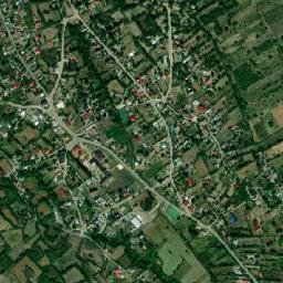 Comuna Fereşti map(satellite map)