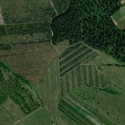Reghin map(satellite map)