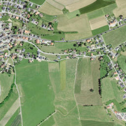 Rechthalten map(satellite map)