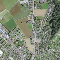 Thun District map(satellite map)