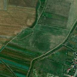 Soleşti map(satellite map)