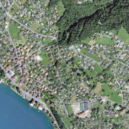 Hilterfingen map(satellite map)