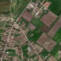 Ciumeghiu map(satellite map)