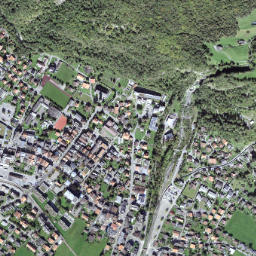 Meiringen map(satellite map)