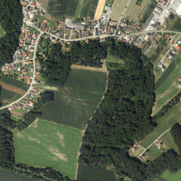 Vogau map(satellite map)
