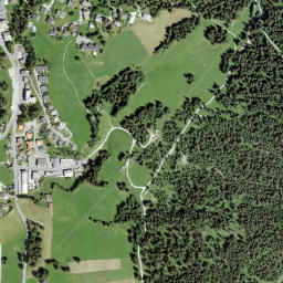 Lenzerheide map(satellite map)