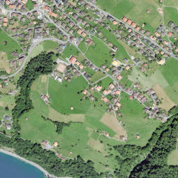 Sigriswil map(satellite map)