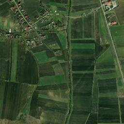 Căciulata map(satellite map)