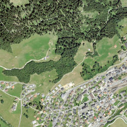 Disentis map(satellite map)