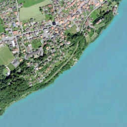 Ringgenberg map(satellite map)