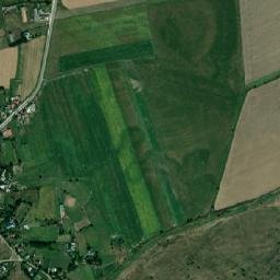 Negri map(satellite map)