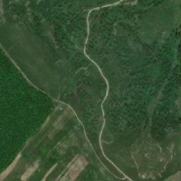 Pungeşti map(satellite map)