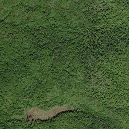 Baraga County map(satellite map)