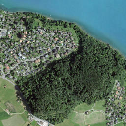 Spiez map(satellite map)