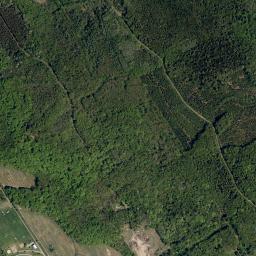 Satellite view of Club De Golf Donnacona