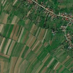 Budureasa map(satellite map)