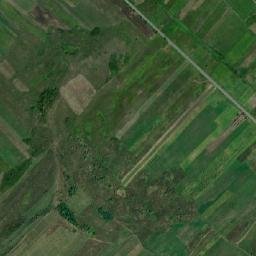 Comuna Plopana map(satellite map)