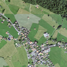 Aeschi b. Spiez map(satellite map)