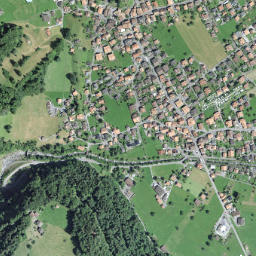 Wilderswil map(satellite map)