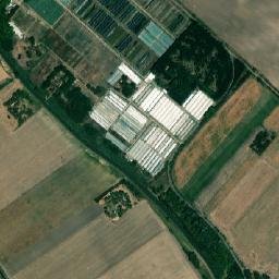 Szentesi Járás map(satellite map)