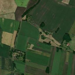 Negrenii de Câmpie map(satellite map)