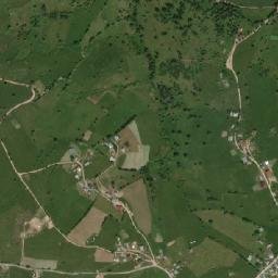 Bogdăneşti map(satellite map)