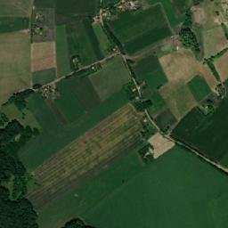 Pădurea map(satellite map)