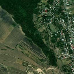 Rediu map(satellite map)